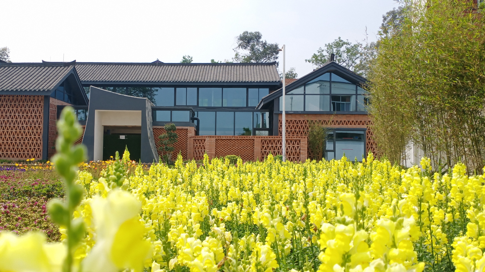 成都新都区芳华桂城的紫藤花海,浪漫得不要不要的!